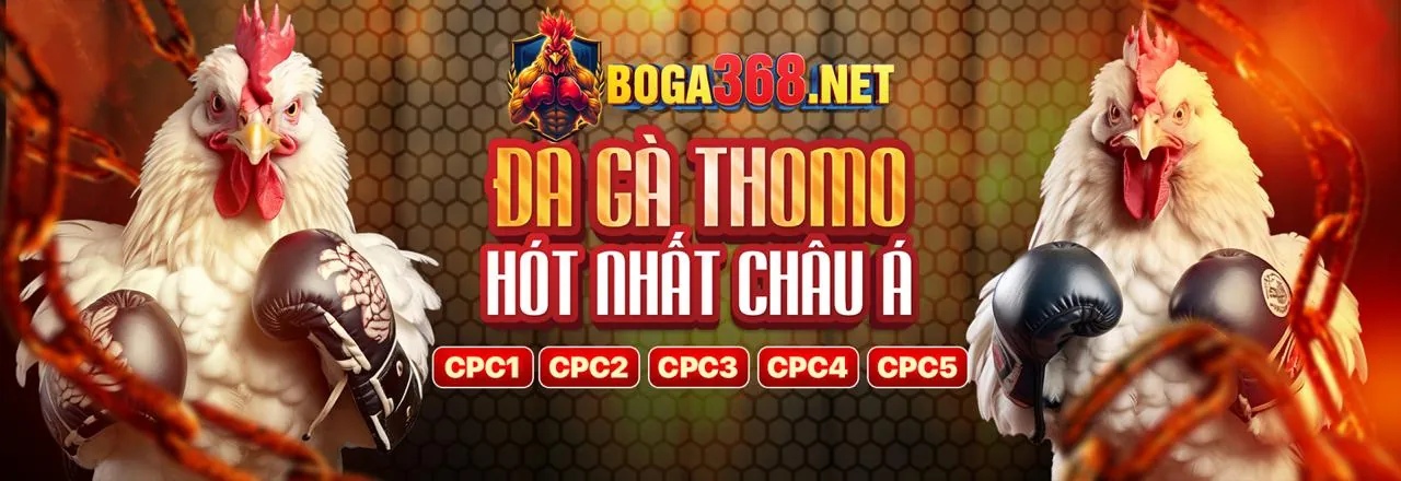 Trận đấu đá gà trực tuyến kịch tính trên HM88 App Android